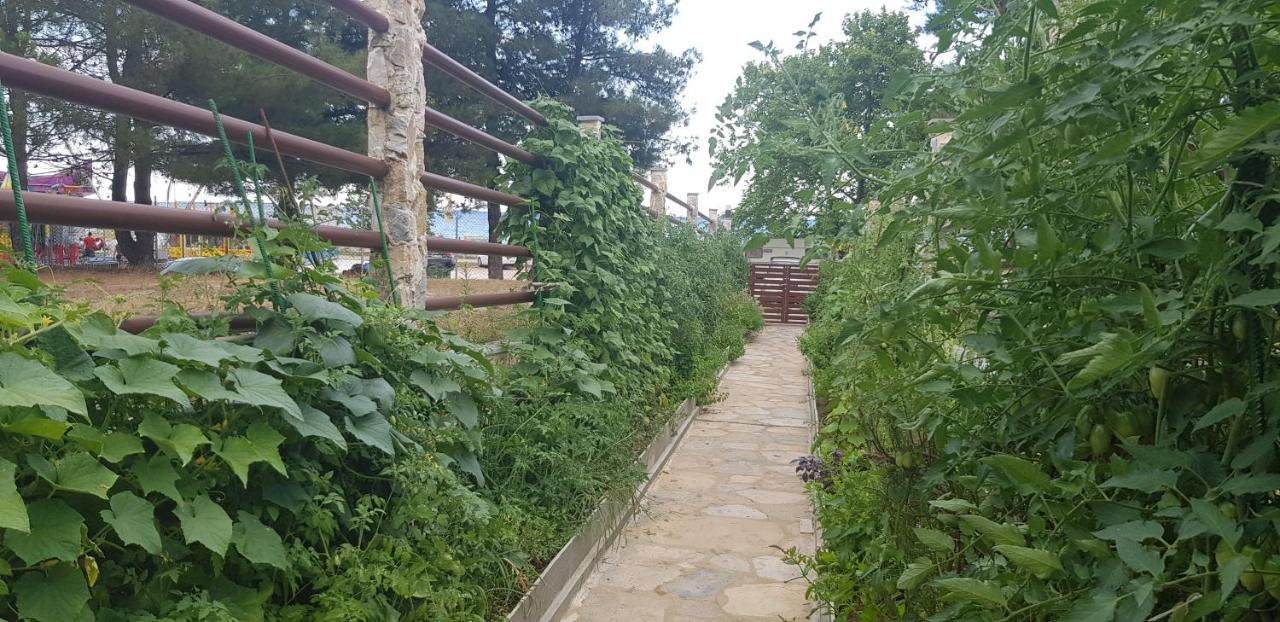 Hatzoudis Luxury Suites Chrisi Ammoudia Exteriör bild